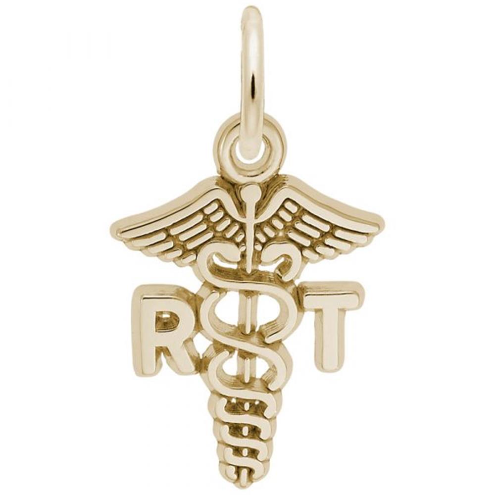 A gold-plated sterling silver charm by Rembrandt Charms, featuring a caduceus symbol with a single snake wrapped around a winged staff. The letters "R" and "T" are prominently displayed on either side, highlighting a connection to respiratory therapy or a related medical field.