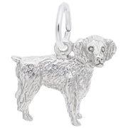 The Boykin Spaniel Dog Charm in Sterling Silver by Rembrandt Charms showcases a detailed representation of a Boykin Spaniel dog standing on all four legs with texturized fur and features a loop at the top for easy attachment to a bracelet or necklace, making it an ideal gift for any dog lover.