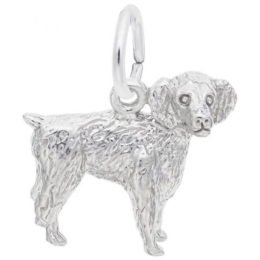 The Boykin Spaniel Dog Charm in Sterling Silver by Rembrandt Charms showcases a detailed representation of a Boykin Spaniel dog standing on all four legs with texturized fur and features a loop at the top for easy attachment to a bracelet or necklace, making it an ideal gift for any dog lover.