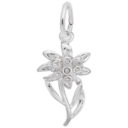 A detailed image of the Sterling Silver Edelweiss Charm by Rembrandt Charms. This charm features an intricately detailed Edelweiss flower, measuring 0.42 inches by 0.75 inches (10.74 mm by 19.12 mm). The charm has a polished sterling silver finish, perfect for adding a touch of alpine elegance to any charm bracelet or necklace. Style number 2339.