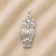 The Screech Owl Charm—Sterling Silver by Rembrandt Charms, featuring intricate feather detailing and expressive large eyes, rests on a soft beige textured fabric background, making it a perfect piece of owl jewelry and an ideal gift for nature lovers.