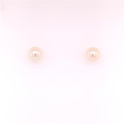 A pair of Mastoloni Pearls 6-6.5MM EAR "A" 14KT WG stud earrings displayed against a plain white background. Each earring, set in 14KT white gold, features a single 6-6.5MM round white pearl.