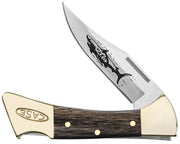The W.R. Case & Sons Cutlery Co.'s Black Stamina Wood Smooth Mako W/ Sheath | 0169 is a folding pocket knife featuring a handle with brass details and the word "CASE" engraved on it. The stainless steel blade, partially open, boasts an etched illustration of a Smooth Mako shark and the knife comes with a protective sheath.