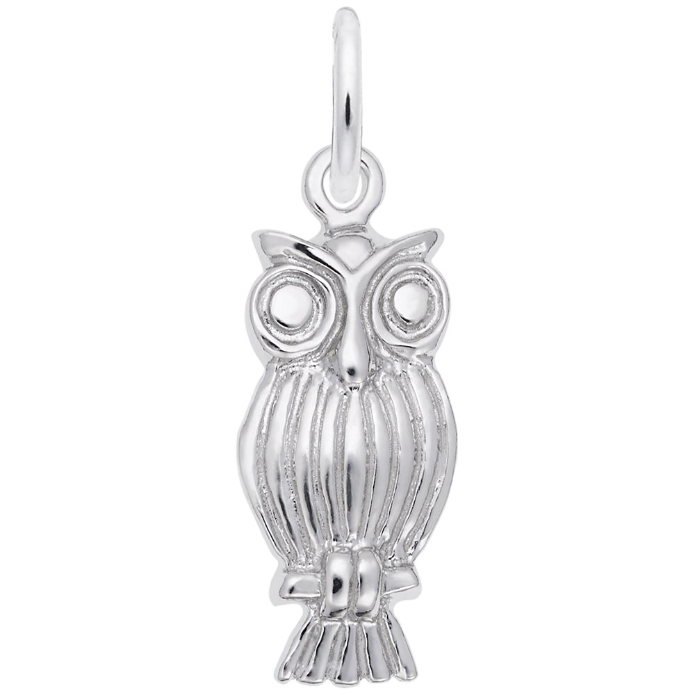 The Rembrandt Charms owl charm features detailed feather lines, large round eyes, and a small loop at the top for easy attachment to a chain or bracelet.