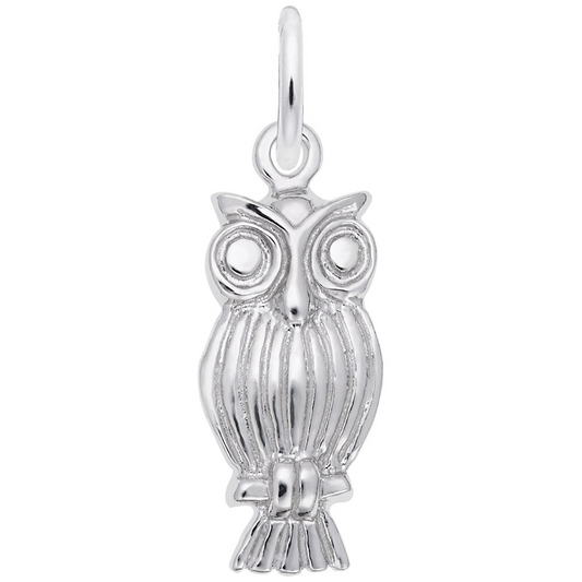 The Rembrandt Charms owl charm features detailed feather lines, large round eyes, and a small loop at the top for easy attachment to a chain or bracelet.